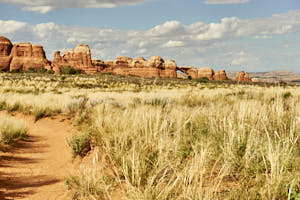 Arches National Park<br>NIKON D4, 70 mm, 100 ISO,  1/320 sec,  f : 8 